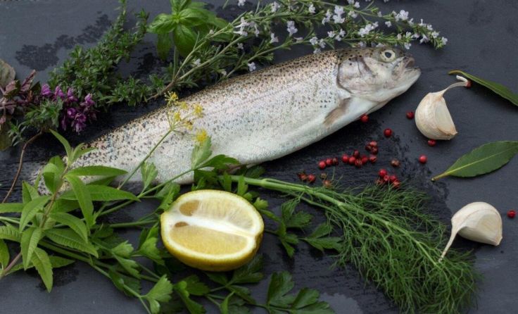 Fisch lässt sich vielseitig und lecker zubereiten. (Foto: Tobias Schneider-Lenz)