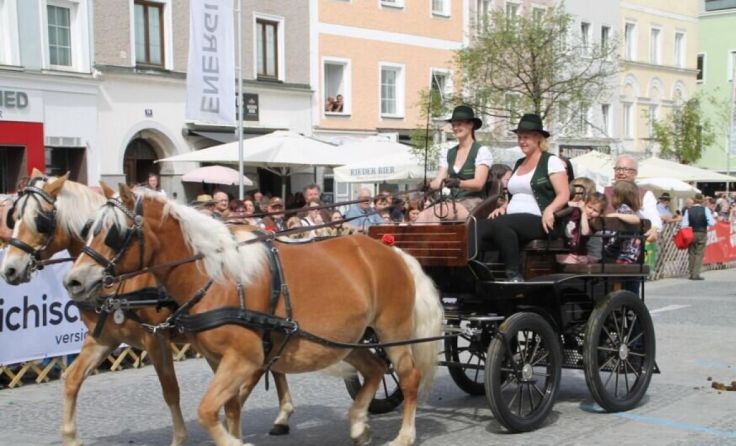 Der Rieder Pferdemarkt findet traditionell am Mittwoch vor Ostern statt. (Foto: Tips/Horn)