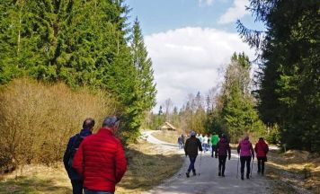 Wanderer erkundeten das Naturjuwel Kobernaußerwald
