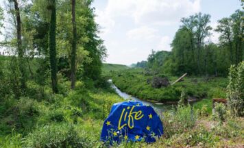Spatenstich für längste Fischwanderhilfe am Innkraftwerk Egglfing-Obernberg