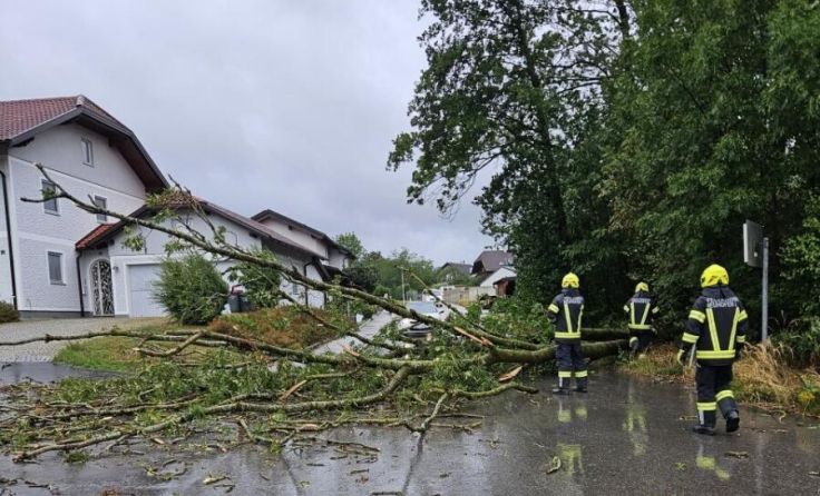 Umgestürzte Bäume führten zu Verkehrsbehinderungen (Foto: FF Neuhofen)