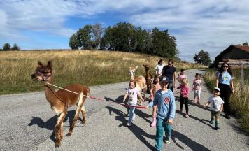 Sommerferienbetreuung für berufstätige Eltern in Ried