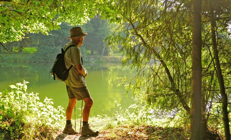 Die Wanderung erstreckt sich über vier Kilometer. (Foto: Alois Litzlbauer)