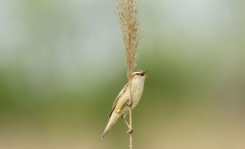 Fotoclub Ort zeigt seine schönsten Bilder