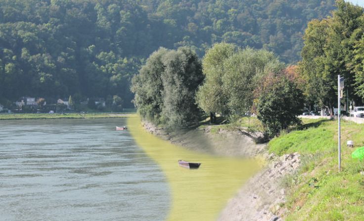 Bei niedrigem Wasserstand wird auch die gelb markierte Fläche trocken liegen. Foto: Klopf
