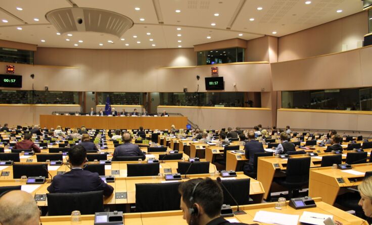Die EU-Parlamentariere müssen Lösungsvorschläge erarbeiten.