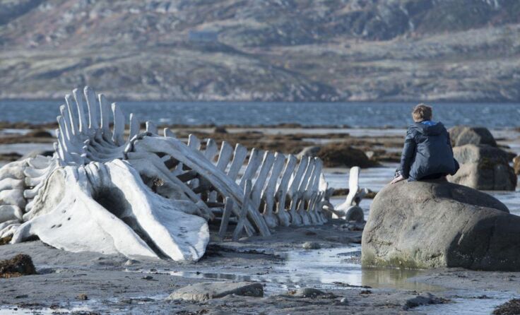 Kolia kämpft gegen die Enteignung seines Grundstückes.  Foto: Polyfilm