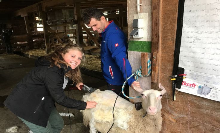 Dorfhelferin Hanna mit Thomas beim Scheren der Schafe. Foto: ATV