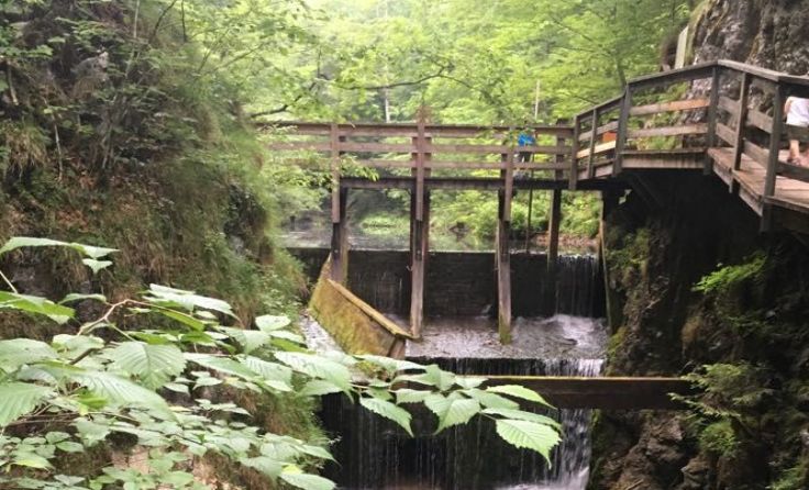 Foto: Zeilinger