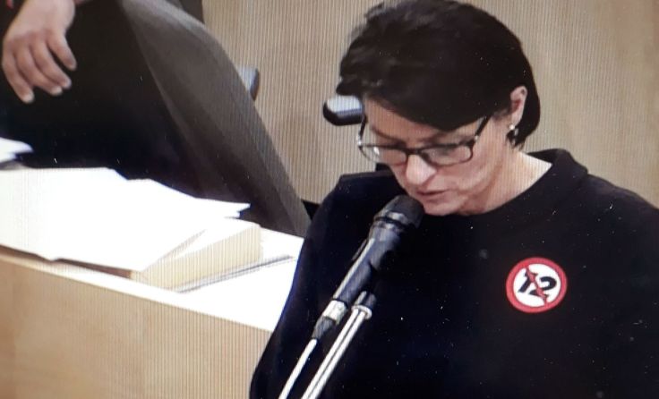 Nationalratsabgeordnete Renate Gruber. Foto: SPÖ