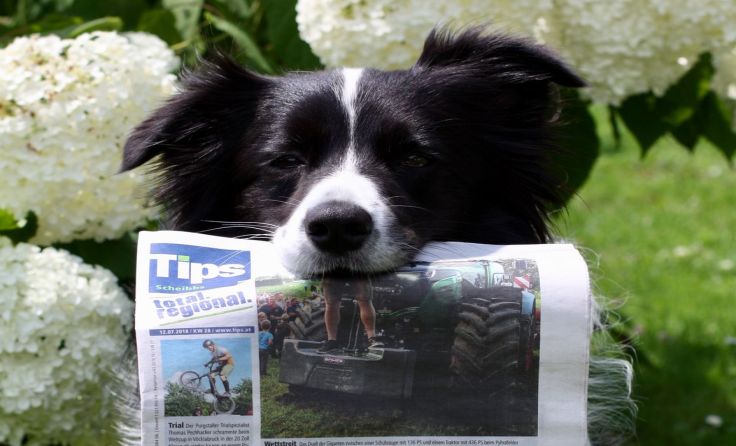 Josie posiert mit der aktuellen Ausgabe der Tips für die Selfie-Aktion in der kommenden Ausgabe.
