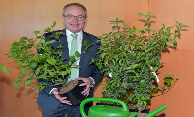 LH-Stellvertreter Stephan Pernkopf freut sich über den Heckentag 2018.Foto: NLK/J. Burchhart
