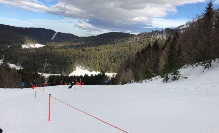 Foto: BFKDO Scheibbs