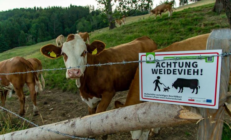 Neue Hinweisschilder sollen Bewusstsein schaffen. Foto: Naturpark Attersee-Traunsee_Pumberger 