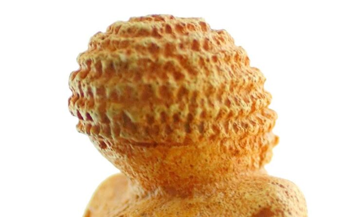 Venus von Willendorf Foto: Matthias Kabel