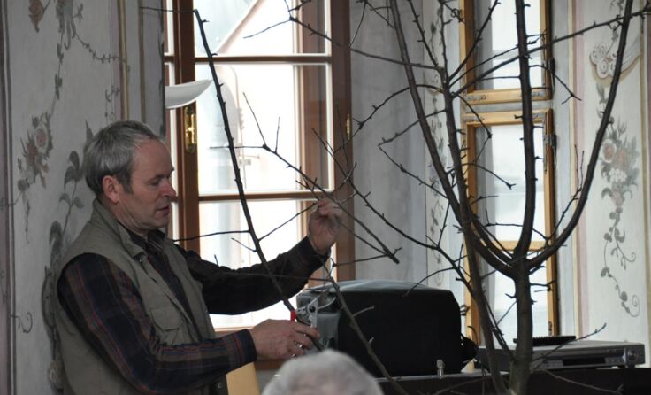 Anschauliche Erklärung zum korrekten Obstbaum-Schnitt Foto: Kirbes