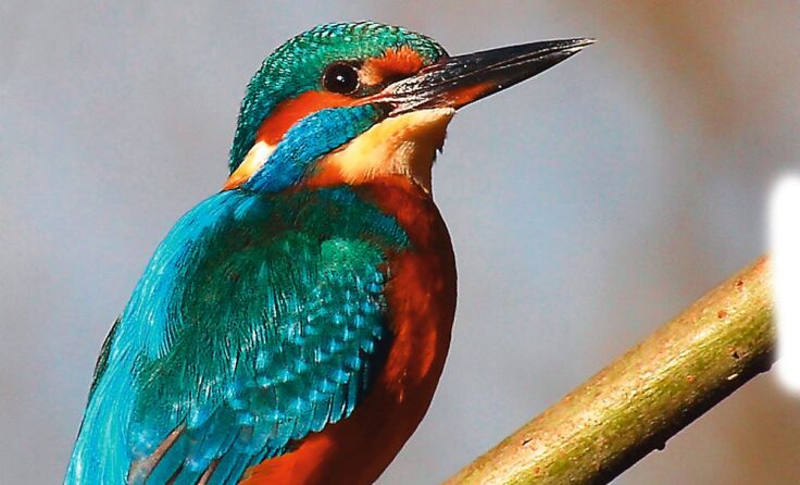 Foto: Peashooter/pixelio.de