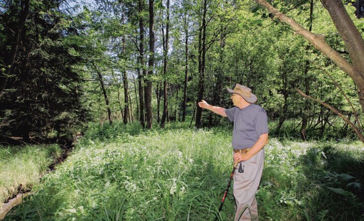 Kurt Kienast zeigt, um welche Naturjuwele es sich handelt Fotos: B. Krobath