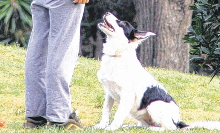 Erziehung ist das A und O Symbolfoto: Wodicka
