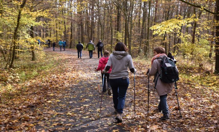 Wandern im Nationalpark Foto: Nationalpark Thayatal, Uebl