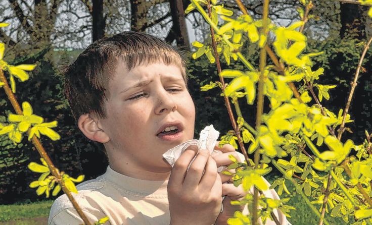 Diagnostiziert und behandelt werden Allergien am besten von Allergologen Foto: Wodicka