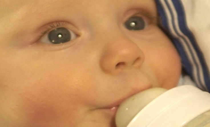 Babys erstes Löffelchen! Ernährung in der Stillzeit und im Beikostalter Foto: Wodicka