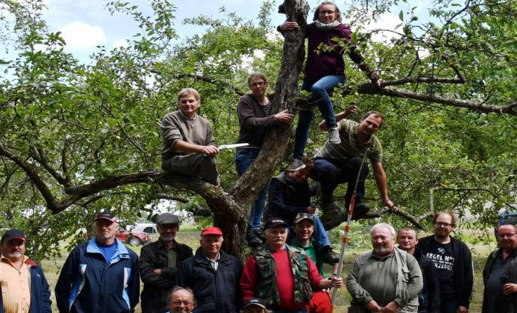 Sommerfreuden beim Obstbaumschnitt in Röhrenbach Foto: Leader-Region Kamptal