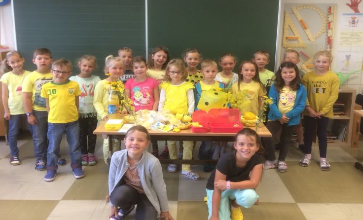 Die gesamte Klasse beteiligte sich an dem Projekt "Gelbtag" Foto: VS Sigmundsherberg