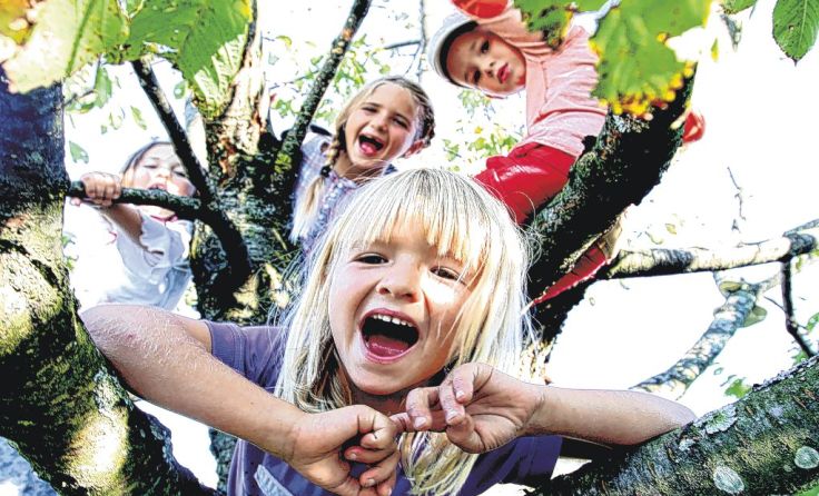 Der Schwerpunkt Familien ist in Niederösterreich ein wichtiges und zentrales Thema. Foto: Vowe