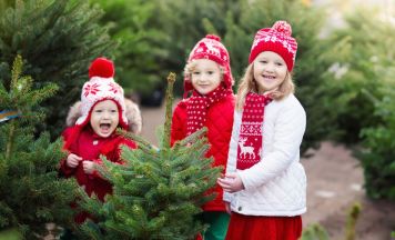 Oh Tannenbaum, oh Tannenbaum!