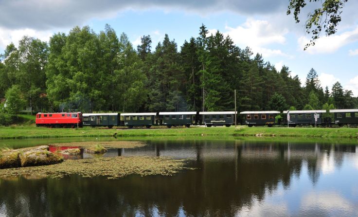 Der Karpfenexpress macht sich auf dem Weg nach Schönau. Foto: NÖVOG/knipserl
