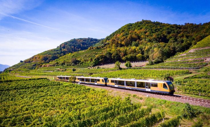 Die Wachaubahn fährt durch den goldenen Herbst. Foto: NÖVOG/Kerschbaummayr