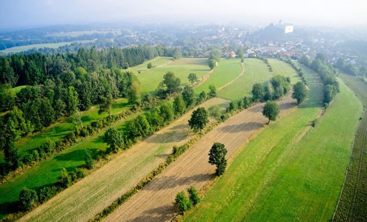 Streifenflure prägen das landwirtschaftliche Bild des Waldviertels. Fotos: Dacho