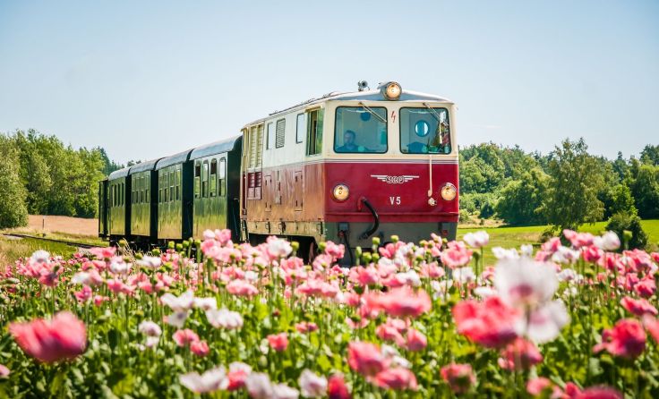  Erfolgssaison für die Waldviertelbahn. Foto: NÖVOG/Mikscha