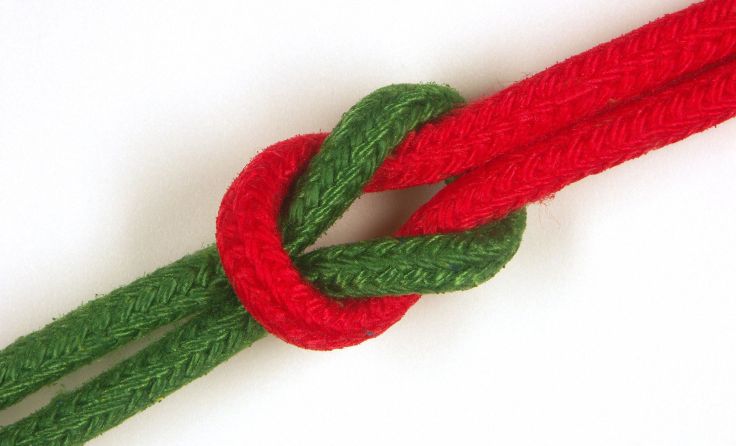 Rot und Grün wollen in Schrems künftig an einem Strang ziehen. Symbolfoto: Wodicka