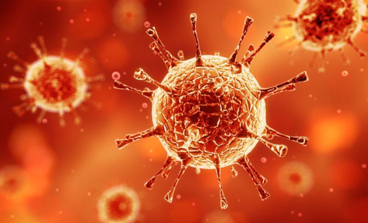 Auch im Bezirk Gmünd gibt es nun einen Corona-Infizierten. Foto: red_diamond/shutterstock.com