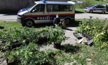 Cannabis-Indooranlage im Bezirk St. Pölten-Land sichergestellt