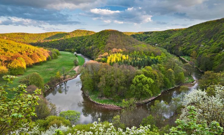Thayatal beim Umlaufberg Foto: BR_NP Thayatal_R Mirau