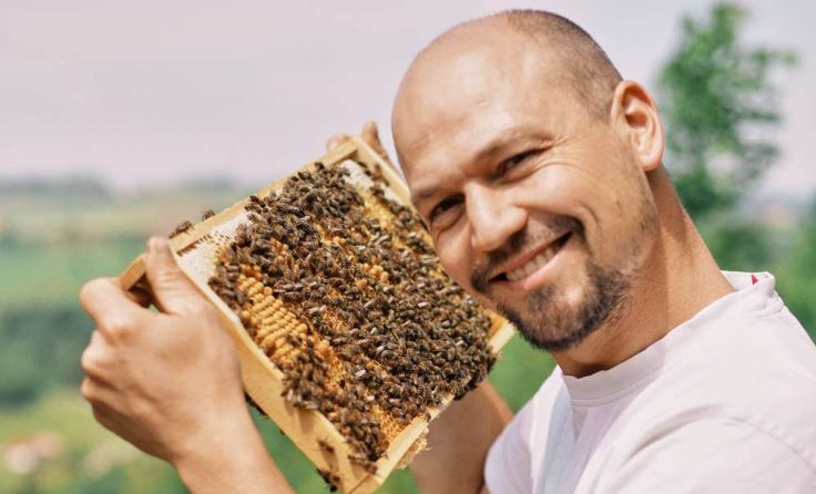 David Priller und seine Bienen 