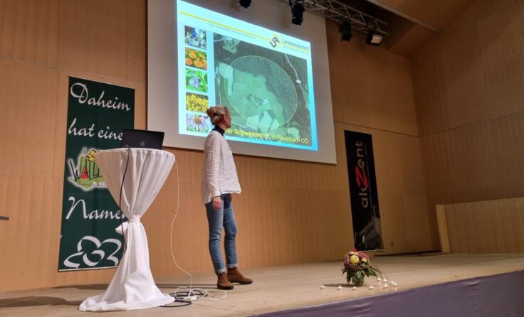  (Foto: Marktgemeinde Wallern/Tr.)