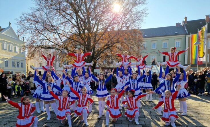 Die Garde (Foto: Eferdinger Gaukler)