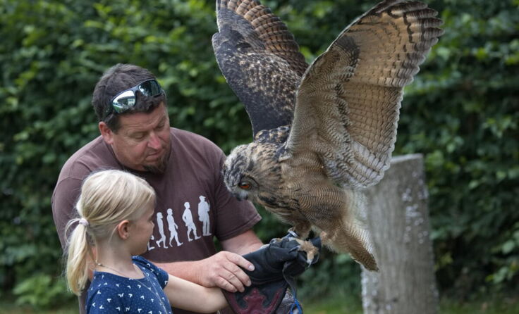 Mira mit der jungen Uhu-Dame „Hannah“ (Foto: geh – Gerhard Hütmeyer)