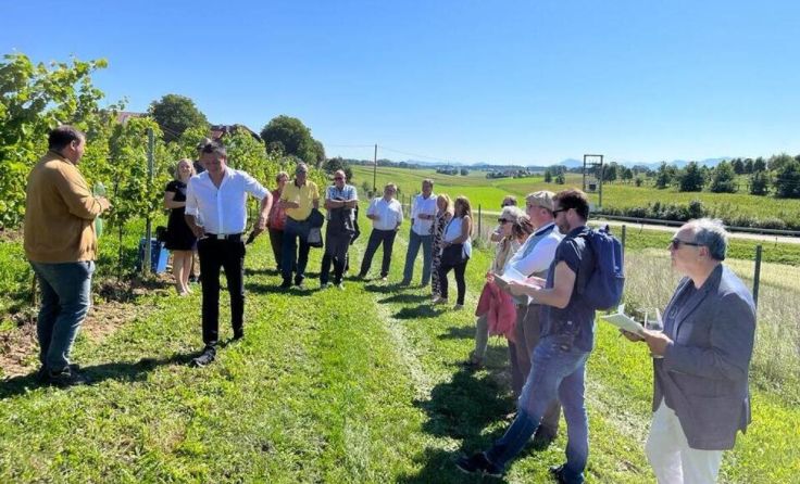 Bei der Weintour-Führung am Weinberg Rogl (Foto: OÖ Genusswinzer / Rogl)
