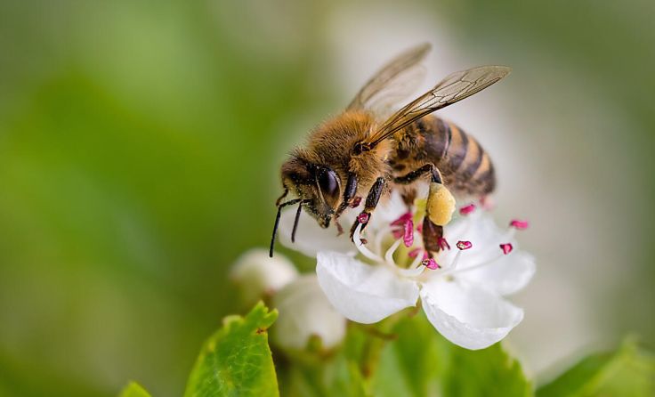 (Foto: stock.adobe.com-Martin Erstling)