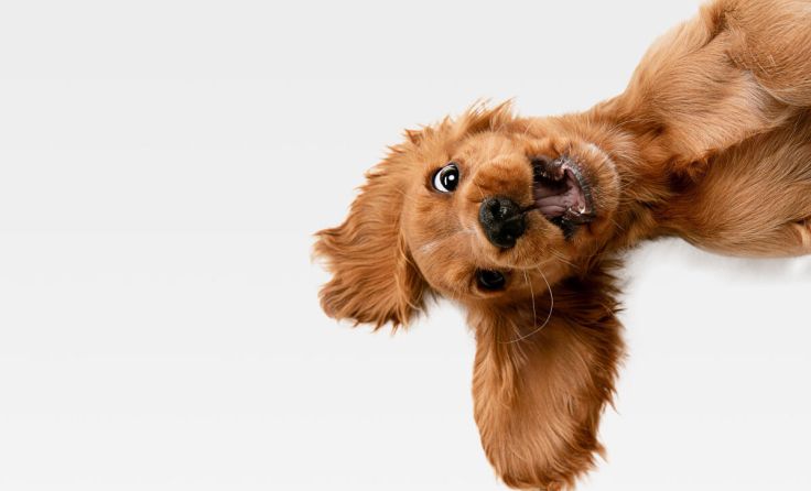 Auf jeden Fall vorbeikommen! (Foto: stock.adobe.com-master1305)