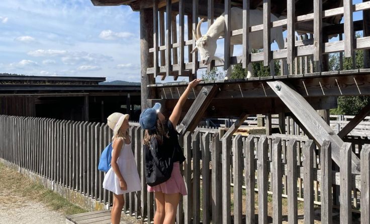 (Foto: Kinderfreunde Gallneukirchen)