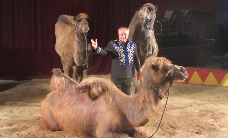Foto: Zirkus Althoff
