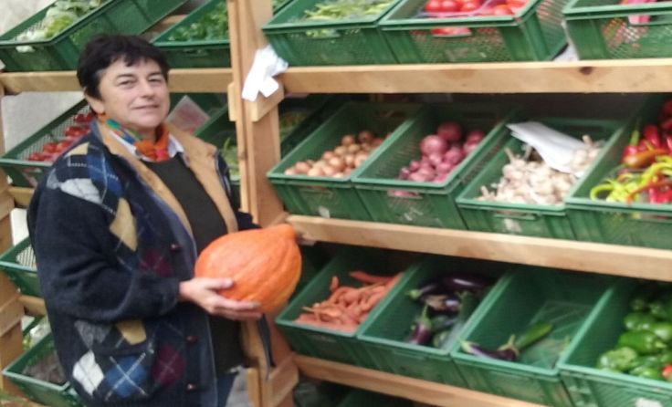 Der Biohof Kreuzwieser überzeugt mit seinem Gemüsesortiment