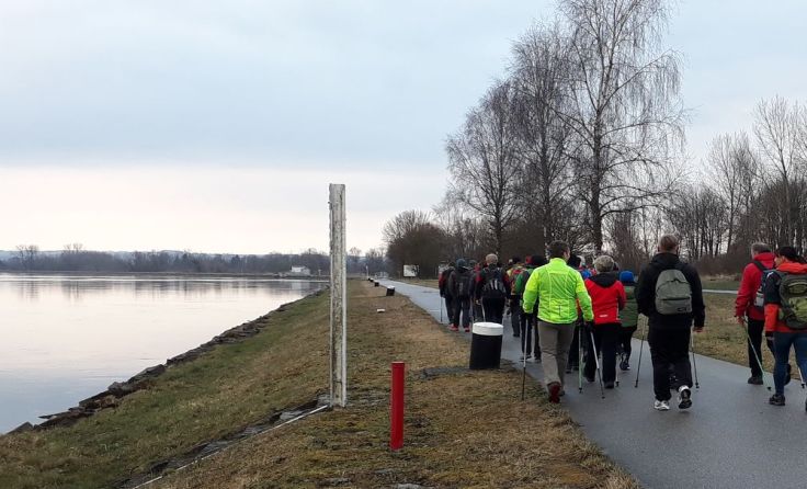 Donauabwärts geht es der Grenze zu Aschach a. d. D. Richtung Brandstatt/Pupping