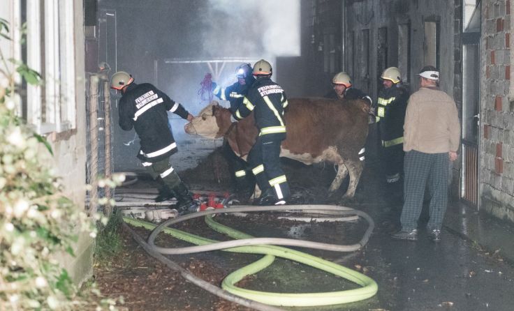 Foto: fotokerschi